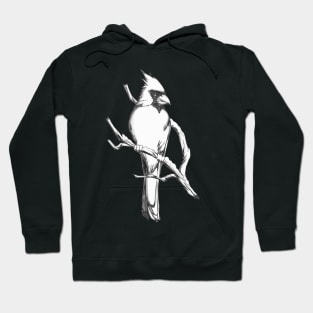 Northern Cardinal - Drawing Gift for Cardinal Lovers Hoodie